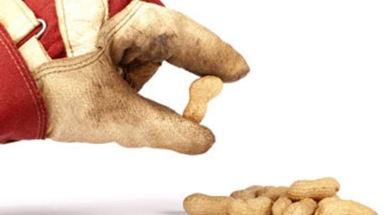 How many people die each year from peanut allergies?
