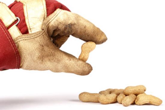 How many people die each year from peanut allergies?