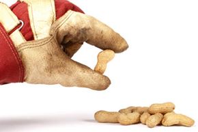 gloved hand and peanuts