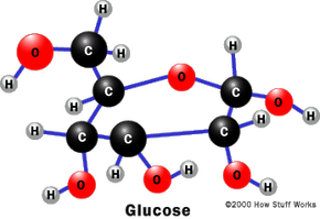 enzyme molecule structure