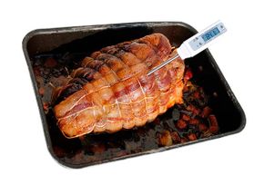 肉必须煮到合适的内部温度才能杀死细菌。”border=