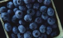 food storage for berries