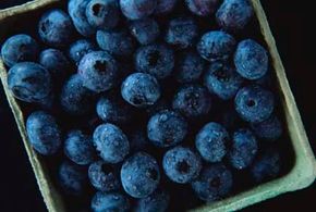 food storage for berries