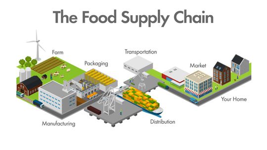 Supply Chain 101: What Happens When Our Food Supply Is Disrupted by a Pandemic?