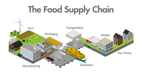 food supply chain