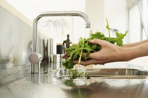 Rinsing prewashed lettuce can actually introduce more germs to your produce.