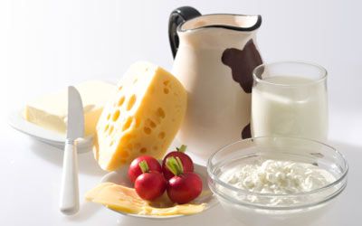 variety of dairy products