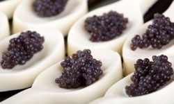 Caviar is costly, but some people swear it's worth every penny.