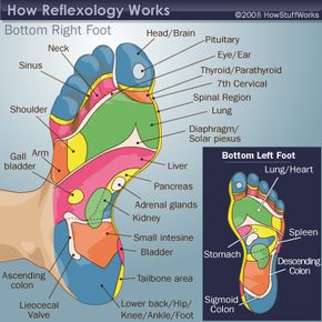 This illustration and the one below are versions of a reflexology foot chart.