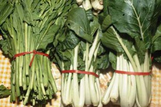 怀孕期间叶酸的好处＂class=