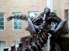The Argentinosaurus replica at Fernbank Museum of Natural History is definitely bigger than a bread box. See more dinosaur pictures.