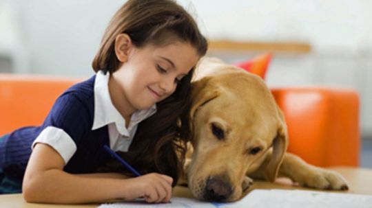 Is fostering dogs too hard on kids?