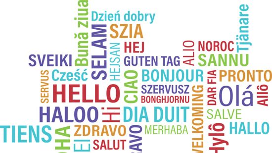 Sacrebleu! It's the Foreign Phrases Quiz