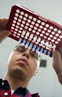 A forensic analyst holds DNA samples