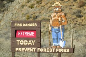 Smokey the Bear
