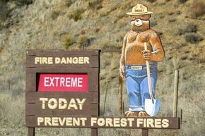 Smokey Bear warns of forest fires