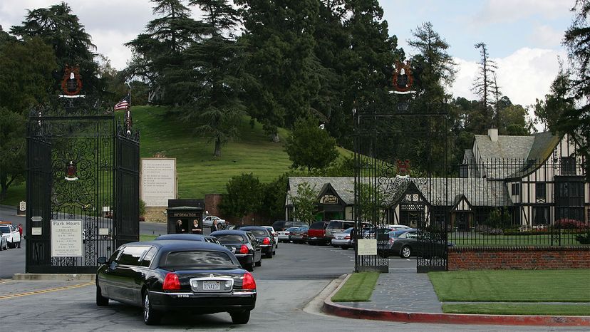 Forest Lawn	