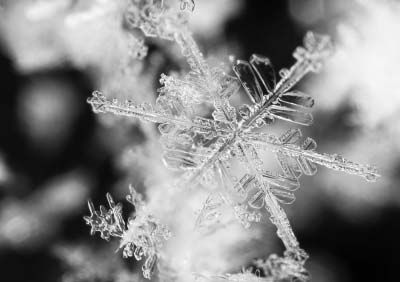 Magnified snowflake