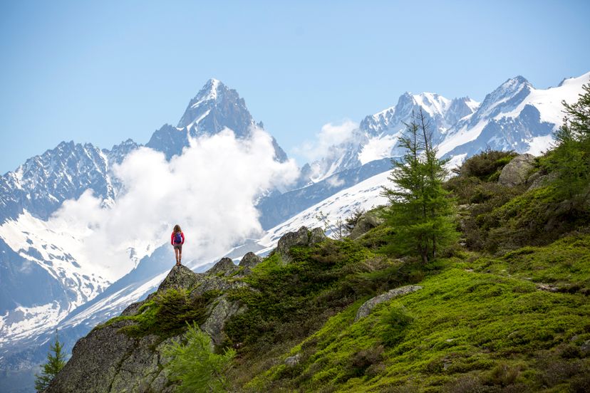 french alps