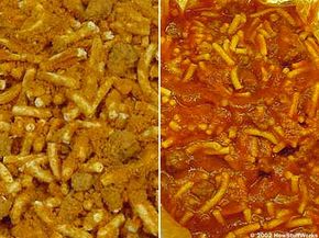 A freeze-dried meal of spaghetti and meatballs, designed for campers: On the left is the dried version; on the right is the rehydrated version.