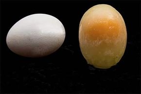 你可以冻结鸡蛋 - 但不是整个贝壳。你需要破解它们，并分开蛋黄和白人。“width=