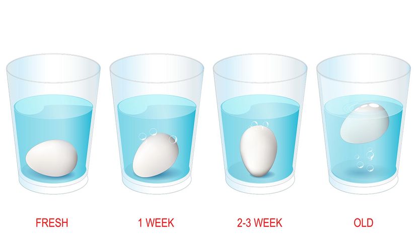 How to Tell if an Egg Is Bad with the Float Test