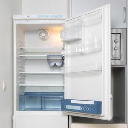 Best Way to Quickly Clean Your Refrigerator – Tub O' Towels