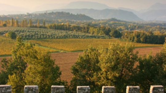 终极指南Friuli-Venezia会葡萄酒产区”width=