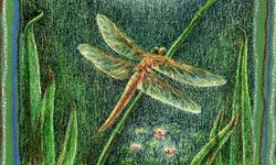 crayon art with dragonfly