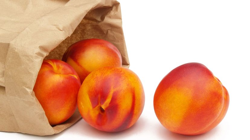 nectarines in paper bag