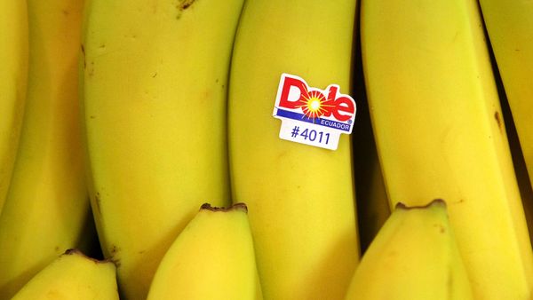 banana with PLU code sticker