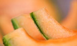 cantaloupe