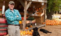 farmstand, dogs