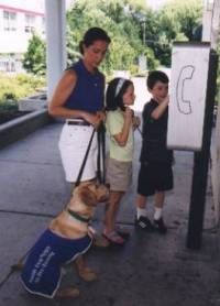 Our story > Future Dog Guide puppy learning on the job at OPG - OPG