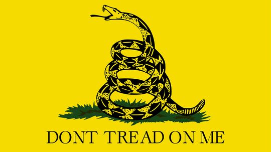 What's the Meaning of the 'Don't Tread on Me' Flag?