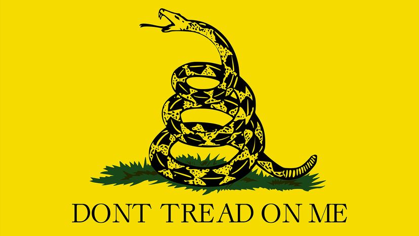 Gadsden flag