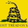 What's the Meaning of the 'Don't Tread on Me' Flag?
