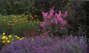 在色彩主题花园创意部分了解这个冷色花园。查看更多著名花园的图片。