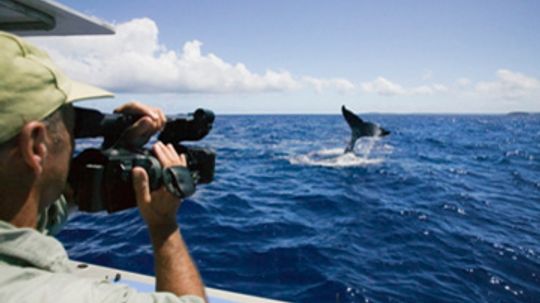 What special gear is used to film on a boat?
