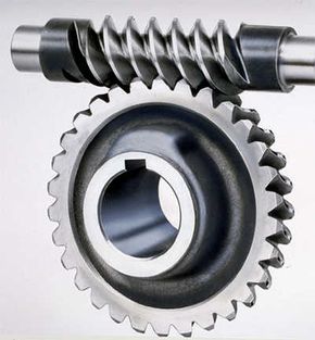 Worm gear