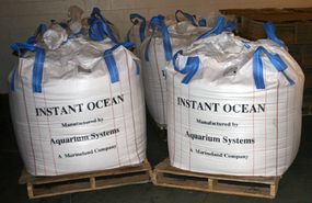 To salinate the water for the marine exhibits, the Aquarium used 1.5 million pounds of Instant Ocean® sea salt. Keeping the water salinated requires very little additional salt.