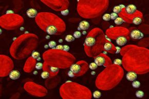 red blood cells