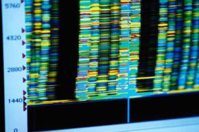 In a genetic map as complex as complex as the DNA configuration shown here, a patented sequence has the potential to block progress for researchers with limited funding.