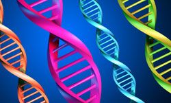 Graphical representation of multiple strands of DNA