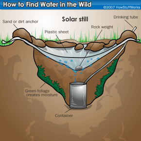 Finding Clean Water Sources During Survival Situations 4. Alternative Water Sources