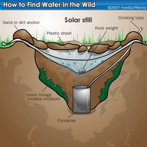 How To Find Water In The Wild | Mapquest Travel