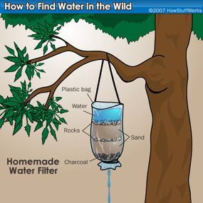 How to Find Water in a Survival Situation