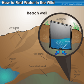 How to Find Water in a Survival Situation