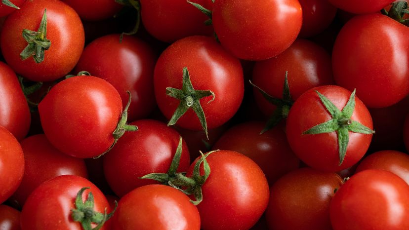 Ripe red cherry tomatoes