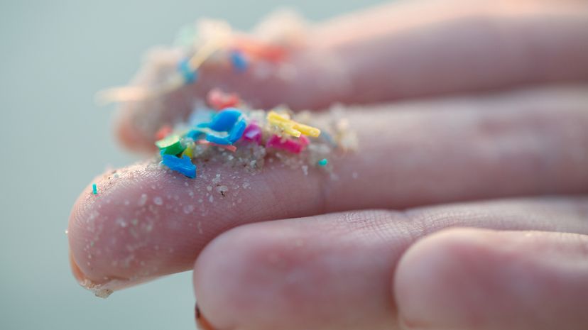 What Happens To Plastic Bags When They Leave Your Hands?